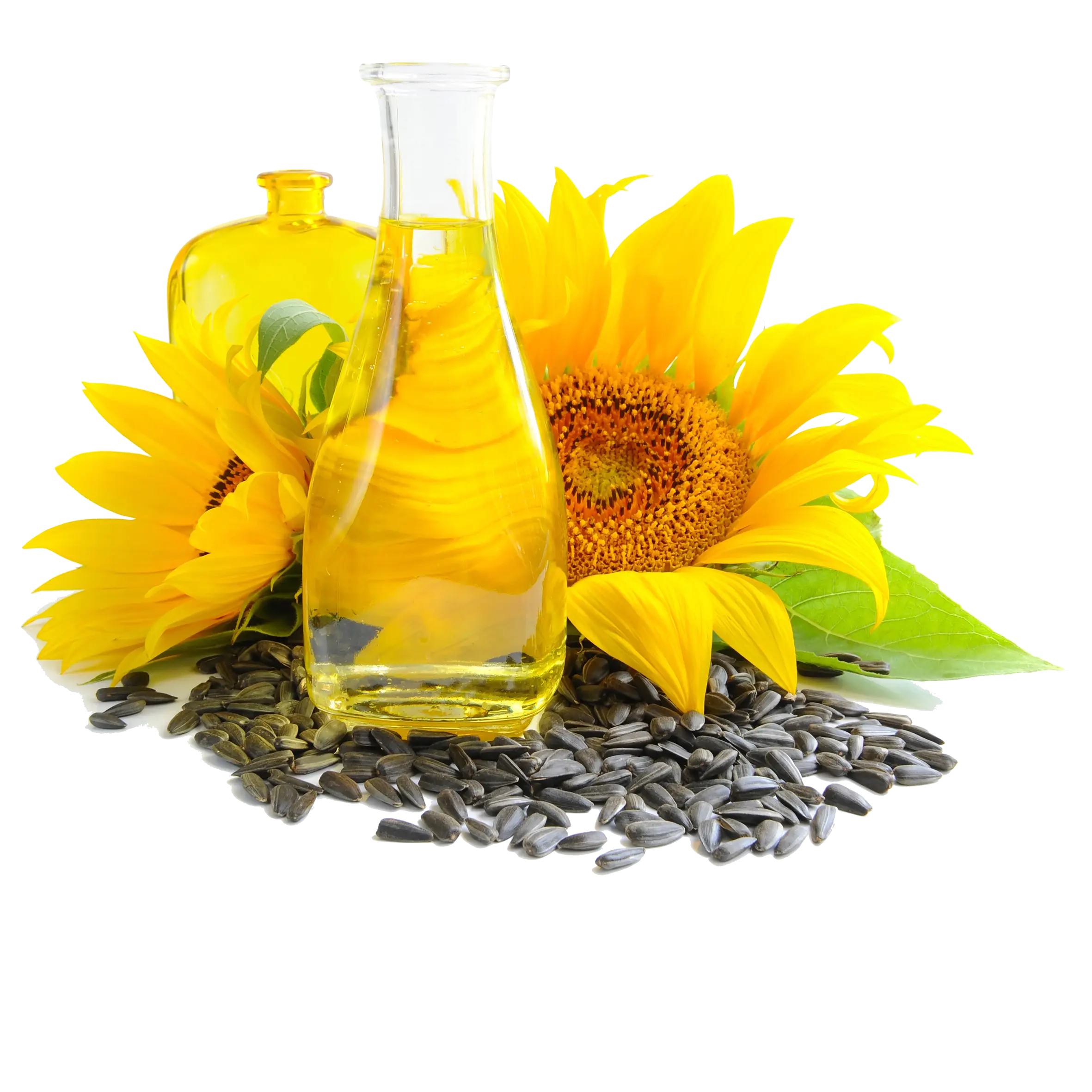 Sunflower Oil